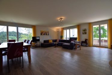 VENDU - Superbe appartement spacieux de 5.5 pces avec vue dégagée