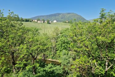 Lumineux 4.5 pièces avec vue sur l’Areuse et les vignes.