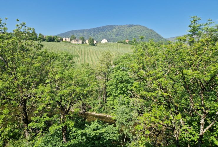 Lumineux 4.5 pièces avec vue sur l’Areuse et les vignes.