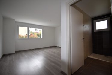 5.5 Zimmer Wohnung, Attikawohnung