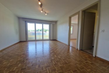 4.5 Zimmer Wohnung