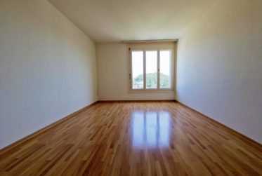 Superbe appartement spacieux et lumineux de 5.5 pces avec vue dégagée