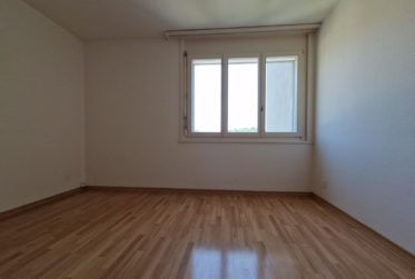 Superbe appartement spacieux et lumineux de 5.5 pces avec vue dégagée