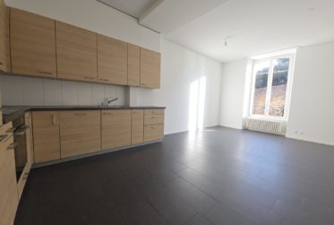 Magnifique 5.5 pièces rénové avec cachet