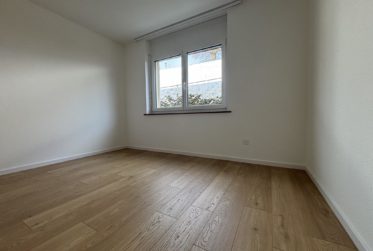 4.5 pièces rénové au calme avec vue dégagée.