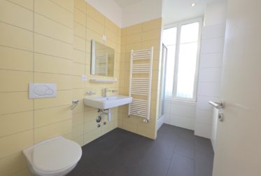 Magnifique 5.5 pièces rénové avec jardin et verrière