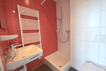 Studio avec grande terrasse et vue lac rénové