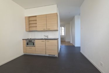 Studio avec grande terrasse et vue lac rénové