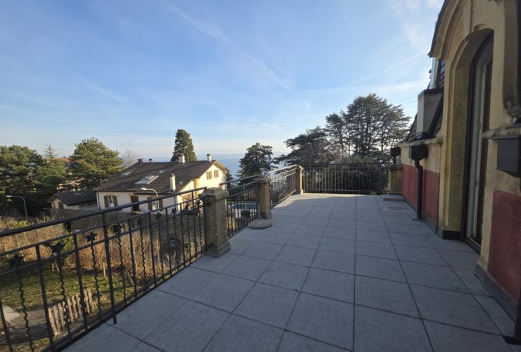 Studio avec grande terrasse et vue lac rénové