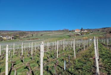 Maison renovée au calme