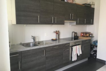 Grand et lumineux 3,5 pièces d'environ 120m2 avec jardin